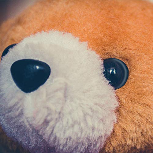 WILLBOND 56 Pcs Large Safety Eyes Stuffed Animal Eyes Plastic 16-30 mm Craft Crochet Eyes for DIY of Puppet Bear Doll Making, 6 Sizes