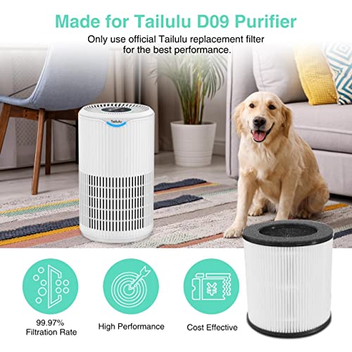 Tailulu Air Purifier Replacement Filter for D09 Air Cleaner, 3-in-1 True H13 HEPA Filter, 1 Pack