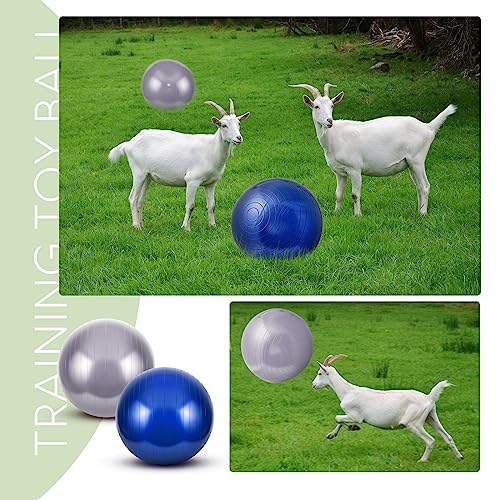 Sotiff 2 Pcs Herding Goat Ball Large PVC Exercise Training Ball with Inflator Pump for Dogs, Goats, Horses Outdoor Entertainment(17.7 Inch,Blue, Grey)