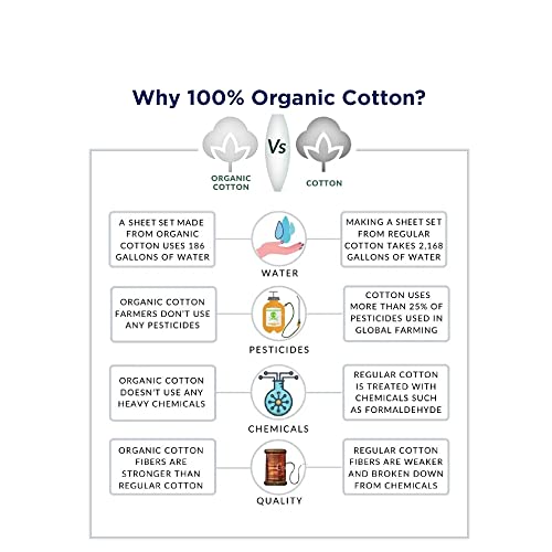 Lane Linen Twin XL Fitted Sheet, 100% Organic Cotton 2-Piece Set (1 Fitted Sheet, 1 Pillowcase), Percale Weave, Lightweight, Soft, Breathable, Fits Mattress Upto 15" Deep - Windowpane (No Flat Sheet)