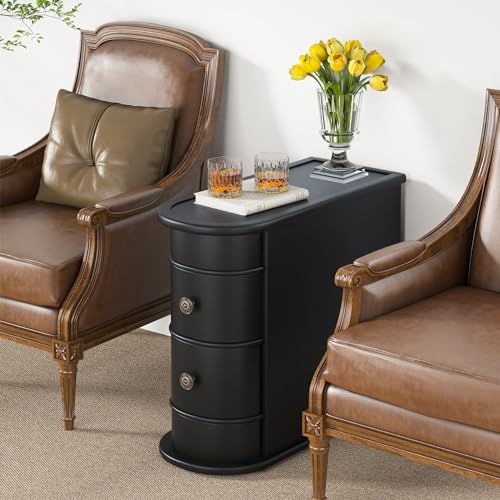 Tribesigns End Table with 2 Drawers, Black Sofa Side Table with Storage, No Assembly Required, Closed Back, Slim Nightstand Vintage Wood Chairside Bedside Narrow Accent Table for Living Room Bedroom