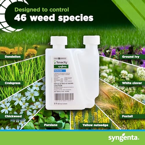 Syngenta 46256 Tenacity 8oz Herbicide, Clear