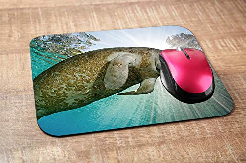 Nicokee Manatee Gaming Mousepad The Smile of Cute Manatee Mouse Pad Mouse Mat for Computer Desk Laptop Office 9.5 X 7.9 Inch Non-Slip Rubber