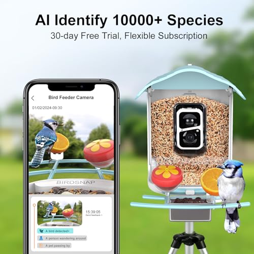 birdsnap® PAV - Smart Bird Feeder with Camera, 5 DIY Add-ons & 64G SD Card Auto Record Bird Video Bird House for Outside, AI Identify Bird Auto Capture with Solar Panel, Ideal Gift for Bird Lover