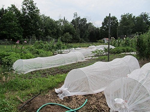 growbiggerplants Agribon AG-19 Floating Row Crop Cover/Frost Blanket/Frost Cloth/Garden Fabric Plant Cover