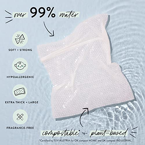 The Honest Company Clean Conscious Unscented Wipes | Over 99% Water, Compostable, Plant-Based, Baby Wipes | Hypoallergenic for Sensitive Skin, EWG Verified | Pattern Play, 10 Count