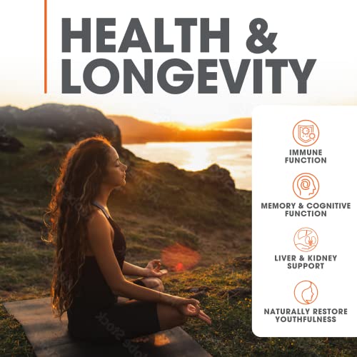 Genius Mushroom Supplement - Lions Mane, Cordyceps, Reishi - Brain Nootropic for Energy, Focus, Overall Wellness, & Immune Support, - 90 Veggie Pills
