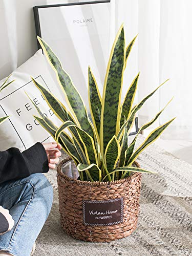 Bird Fiy Artificial Snake Plants 30" Faux Agave Fake Sansevieria Artificial Silk Plant for Home Garden Office Store Decoration 4 Pcs (Green)