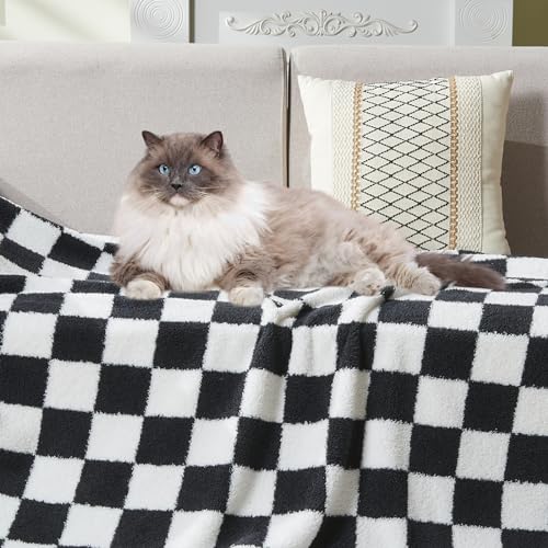 NEWCOSPLAY Knitted Light Grey Blanket Super Soft Plush Throw for Couch Fuzzy Fluffy Microfiber Lightweight Blanket for Bed Sofa All Season Use (Light Grey, Queen(90"x90"))