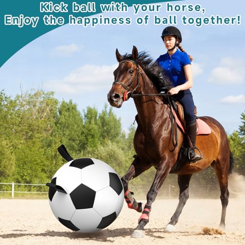 QDAN Herding Dog Balls Horse Ball - 18 inch Horse Toys Herding Ball for Dogs, Large Giant Ball Toys for Australian Shepherd Dog Toys, Black