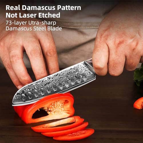 Sunnecko Damascus Chef Knife Japanese Santoku Knife 5 Inch Chopping Knife Vegetables, High Carbon Stainless Steel Knife with Gift Box