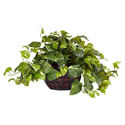 Nearly Natural Pothos with Ledge Basket, Green,34x18x15