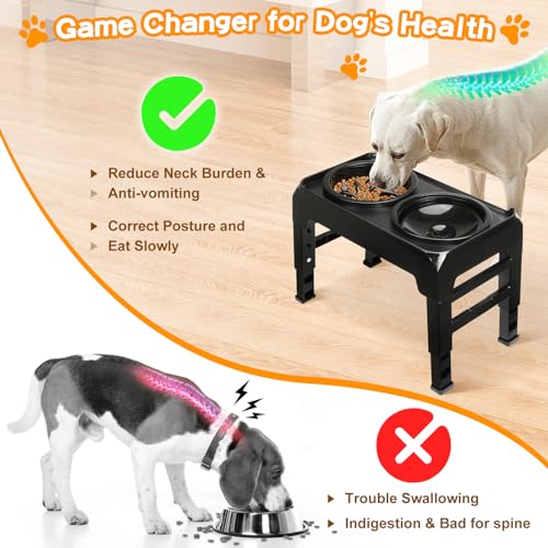 Elevated Dog Bowls 2-in-1 Slow Feeder Dog Food Bowls for Small Medium Dogs 3 Height Adjustable Raised Dog Bowl Stand Non-Slip Dog Feeder Adjusts to 2.75", 6", 7.5", Black