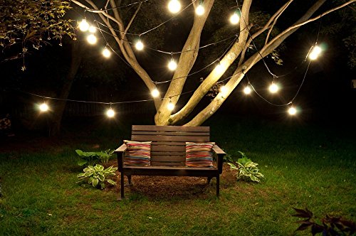 Bulbrite STRING15/E26-S14KT Outdoor, Garden, Patio, Wedding, Party, Holiday, Lawn, and Landscape String Light w/Incandescent Bulbs, 48-Feet, 15 Lights