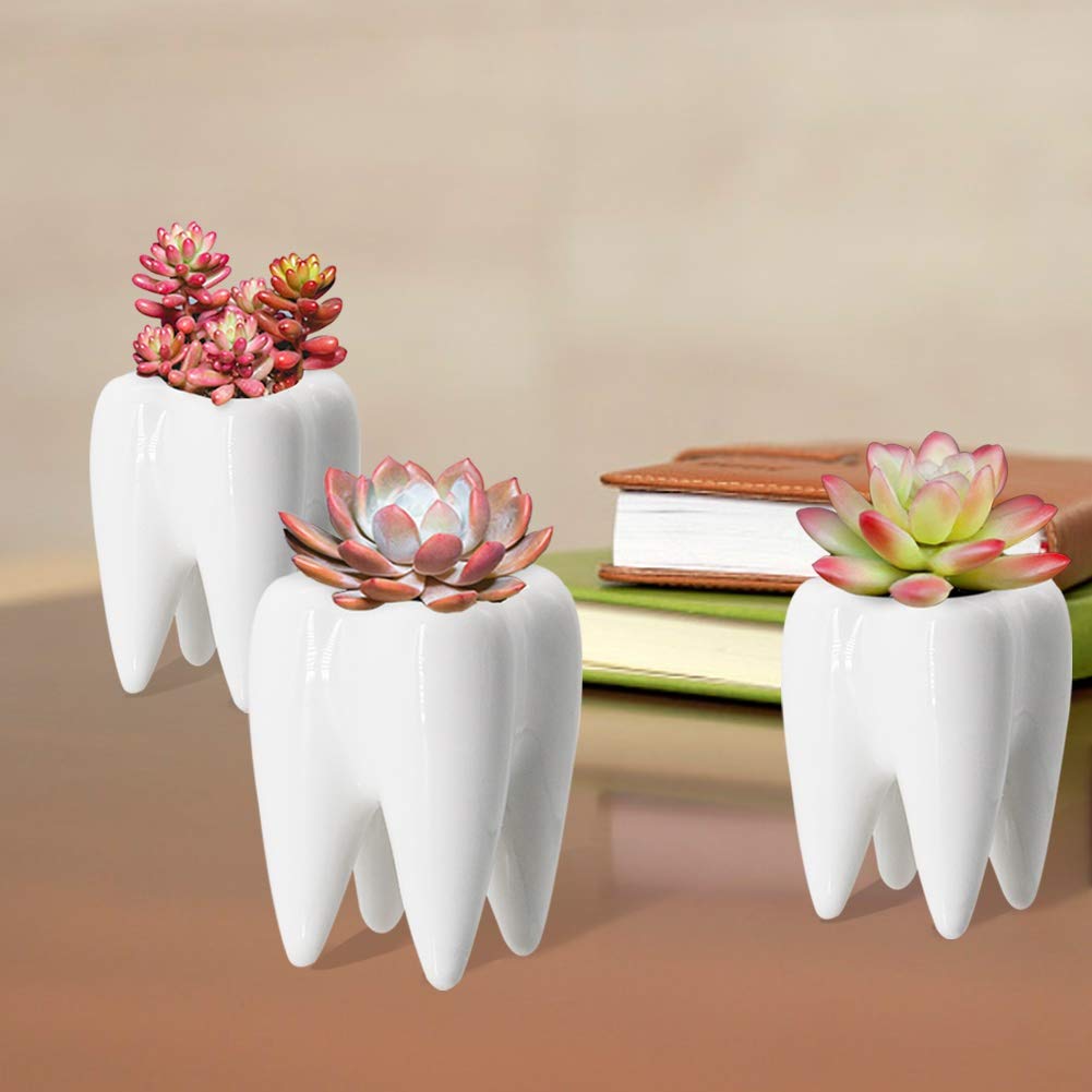 YOFIT Modern Style Teeth Pots Ceramic Flower Pot for Dental Gifts, White Succulent Cactus Bonsai Planter Container for Dental Office Decor, 3.7" Set of 4