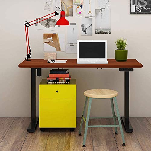 FLEXISPOT Standing Desk Electric Sit Stand Desk with 48 x 24 Inches Ergonomic Memory Controller Adjustable Height Desk with USB Charging Ports