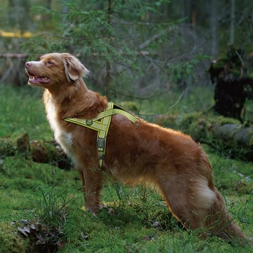 DOCO No-Pull Dog Harness Halter - Reflective, Easy-Control Harness - Ideal for Teaching Leash Manners and Preventing Pulling (Navy Blue, Small)