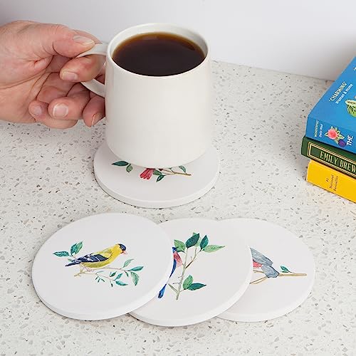 Now Design Set of 4 Soak Up Coasters, Birdsong