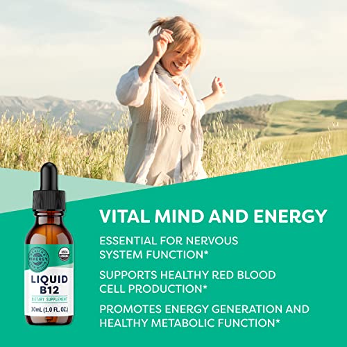 Vimergy USDA Organic B12 - Travel Size - 30 Servings – Alcohol Free B-12 Liquid Vitamin - Supports Brain Energy, Nervous System, Cognition, Memory - No Gluten, Non-GMO, Vegan & Paleo (30 ml)