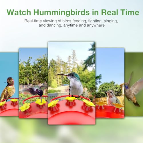 Hummingbird Feeder with Camera for Outdoors, Auto Capture & Identify Bird Species, Wide Mouth for Easy Filling with Built-in Ant Moat and Bee Guards, Ideal Bird Watching Gift (Blue)