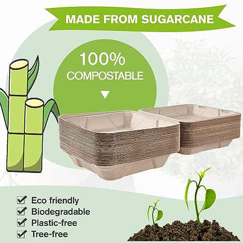 ECOLipak 300 Pack Clamshell To Go Containers, 100% Compostable Disposable Take Out Food Containers, 8X8 inch 3-Compartment Heavy-Duty To Go Boxes