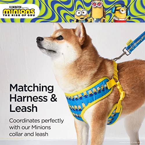 Minions Dog Harness, Small, Blue Minions in a Row | Comfortable Mesh No-Pull Dog Harness| Gifts for Minions Fans and their Pets | Officially Licensed Pet Product from Universal Studios
