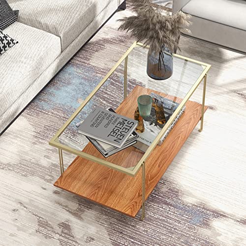 Tangkula Glass Coffee Table, 40In Mid Century 2 Tier Rectangle Coffee Table, Tempered Glass Top & Wood Storage Shelf, Steel Frame, Adjustable Feet, Modern Cocktail Accent Table for Living Room (Gold)