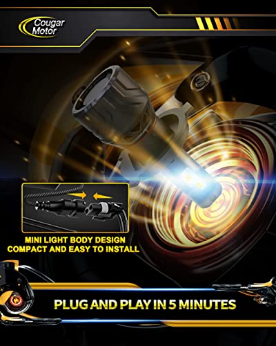 Cougar Motor H4 Bulbs, 9003 Fog Lights 6500K White Non-Polarity H4 Fog Bulb or Off-Road Use Plug and Play - Pack of 2
