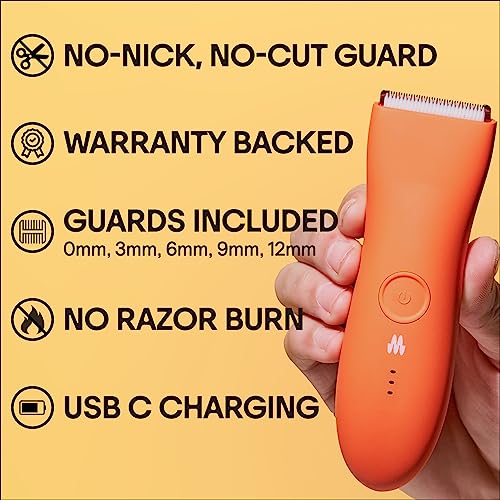 MERIDIAN Premium Trimmer for Men and Women, USB C Charging, Travel Lock, 6 Colors Available, Blaze