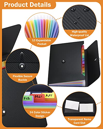 Cesil Accordian File Organizer Expanding File Folder, 13 Pockets, A4 Letter Size Paper Document Receipt Folder for Classroom, Home, Office and Travel