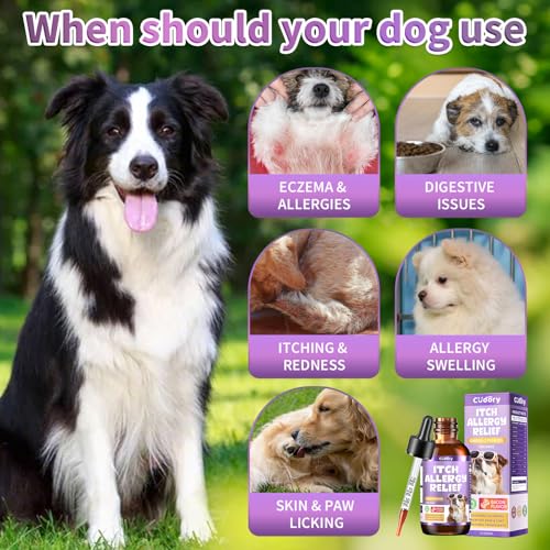 Allergy Relief for Dogs and Cats - Cat Allergy Tasty Chews + Dog Allergy Relief Drops- Healthy Skin, Gut & Coat Support for Cat or Dog Supplements Probiotic & Vitamins
