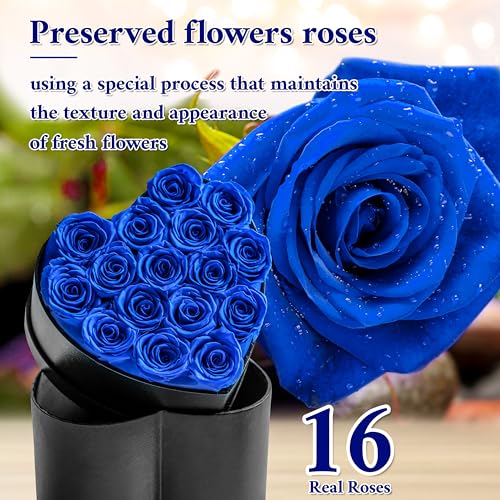 Childom Birthday Gifts for Women,7Pcs Preserved Blue Roses for Her in a Box,Preserved Fresh Rose Flower Gifts for Her,Christmas Rose Gifts for Women,Rose Gifts for Anniversary,Thanksgiving,Christmas