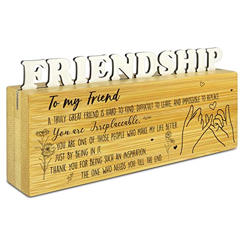 Friendship Gift for Woman Friend Gifts for Best Friend Neighbor Bestie Sister Her Birthday Christmas Farewell Gift for Women Friends Desk Bookshelf Shelf Decorative Sign for Home Office - TZA02