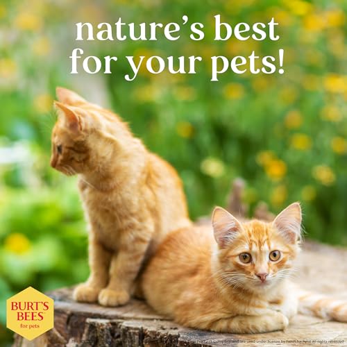 Burt's Bees for Pets Tearless Kitten Shampoo with Buttermilk, 99.3% Natural Origin Formulas, Pet Cleanser for Cats, Gentle Cat Wash for Itchy Skin, 2pk, 10 oz