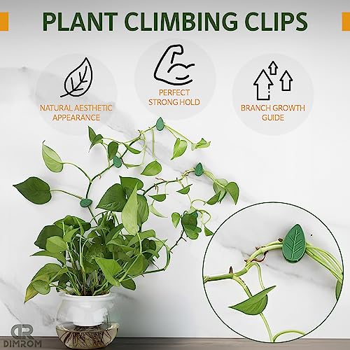 60 Pcs Plant Clips 2 Sizes Garden Clips for Plants Tomato Clips for Climbing Plants Garden Plant Clips Tomato Clips for Climbing Plants Hanging Plant Clips for Vines Gardening Supplies Support Clips
