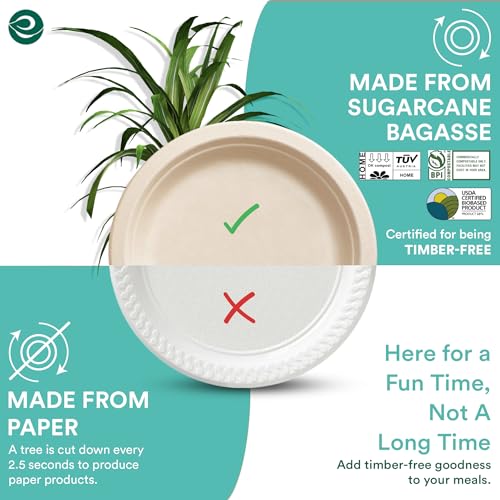 ECO SOUL 100% Compostable 10 Inch Paper Plates [100-Pack] Disposable Party Plates I Heavy Duty Eco-Friendly Sturdy Dinner, Wedding, Event Plates I Biodegradable Unbleached Sugarcane Eco Plates