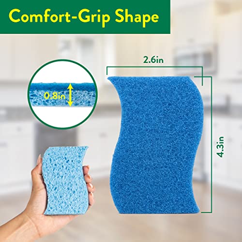 Pine-Sol Non Scratch Scrub Sponges - Double Sided Dish Scrubber Safe for Nonstick Cookware - Kitchen Essentials for Dishwashing and Cleaning, 2 Pack