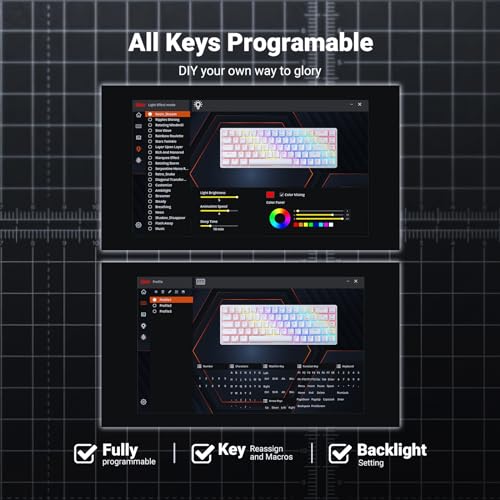 RK ROYAL KLUDGE RK837 Video Gaming Keyboard - 65% Layout Mechanical Keyboard, BT5.1/2.4G/Wired with 3 USB Ports, RGB Backlit, Hot-Swap PC Computer Wireless Keyboard for Mac Laptop, Clicky Blue Switch