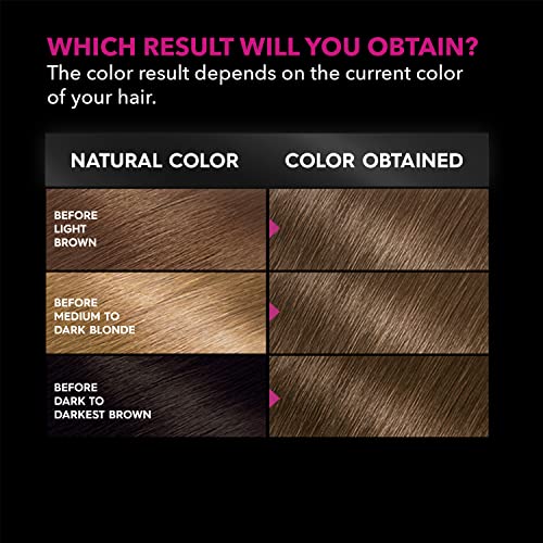 Garnier Hair Color Olia Ammonia-Free Brilliant Color Oil-Rich Permanent Hair Dye, 6.0 Light Brown, 1 Count (Packaging May Vary)