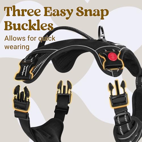 rabbitgoo Dog Harness Small Sized Dog, No Pull Pet Harness with Soft Padded Handle, Adjustable Reflective Vest with 3 Buckles, Easy Walking Harness with 2 Leash Clips, Black, S