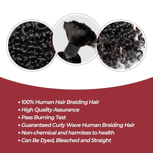 Human Braiding Hair for Boho Braids 99J 14 Inch Curly Human Hair for Boho Braids 2 Bundles 100g Boho Hair for Braiding 100% Deep Wave Bulk Human Hair for Boho Knotless Braids (99J,14inch)