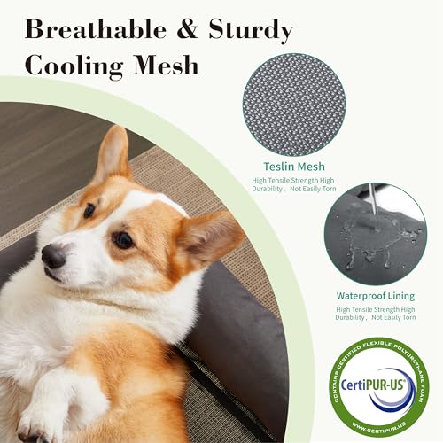 TJSOULER Cooling Elevated Dog Bed with Pillows,Portable Washable Raised Dog Cot Bed with Chew Proof Mesh and Metal Frame,No-Slip Rubber Feet for Indoor & Outdoor Use,Medium,Deep Grey