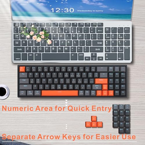 Odycle Wired Gaming Mechanical Keyboard, Portable LED Backlit Keyboard, 78 Keys 60% Mini Keyboard with Hot Swappable Red Switch, USB-A and Type-C Receiver for PC, Mac and All Type-C Devices, Black