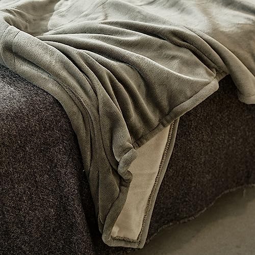 JET'S HOME Heated Blanket 50"x60" - ETL&FCC Certified Flannel Electric Blanket Throw Machine Washable Heating Blanket with 5 Heating Levels 3 Hours Auto-Off Overheating Protection (Blue)