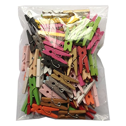 LWR CRAFTS Wooden Mini Clothespins 200 Per Pack 1" 2.5cm (Purple)