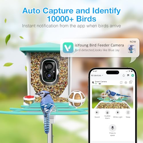 Smart Bird Feeder with Camera, AI Recognition and Solar Powered, Auto Capture & Notity, Bird Video & Motion Detection, Ideal Gifts for Bird Lover