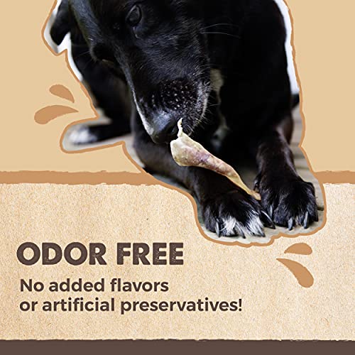 Mighty Paw Full Pig Ears for Dogs | All Natural Dog Treats. Single Ingredient Pig Ear Dog Treats. Better Than Rawhide Dog Snacks for Puppy and Large/Medium Dogs. Pigs Ears Dog Chews, Dog Pig Ears