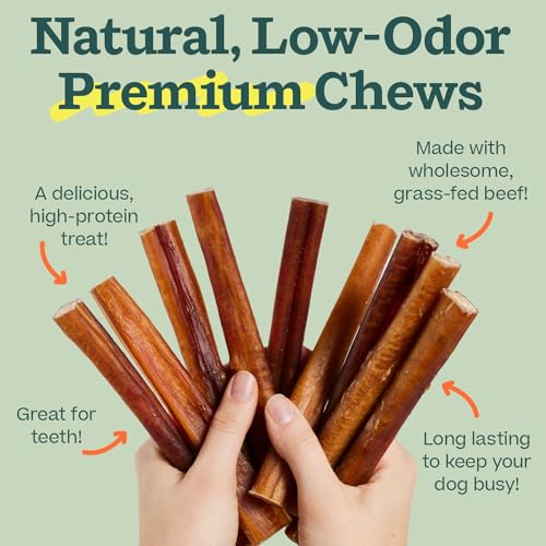 WOOF Bully Sticks - Chew Sticks for Dogs - Long-Lasting Dog Products - Made with Free-Range, Grass-Fed Beef - 6" Sticks - 10pk