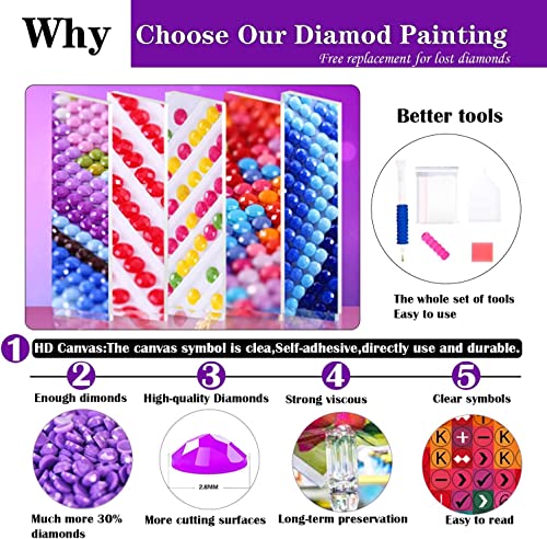 Diamond Art Kits for Castle DIY 5D Diamond Painting Kits for Adults Painting Kits for Rhinestone Embroidery Picture, Star Ice, 12x16 inch