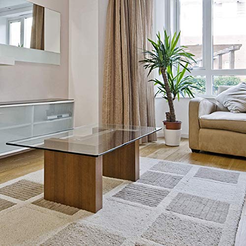 Fab Glass and Mirror Glass Table Top, 24" X 48", Clear